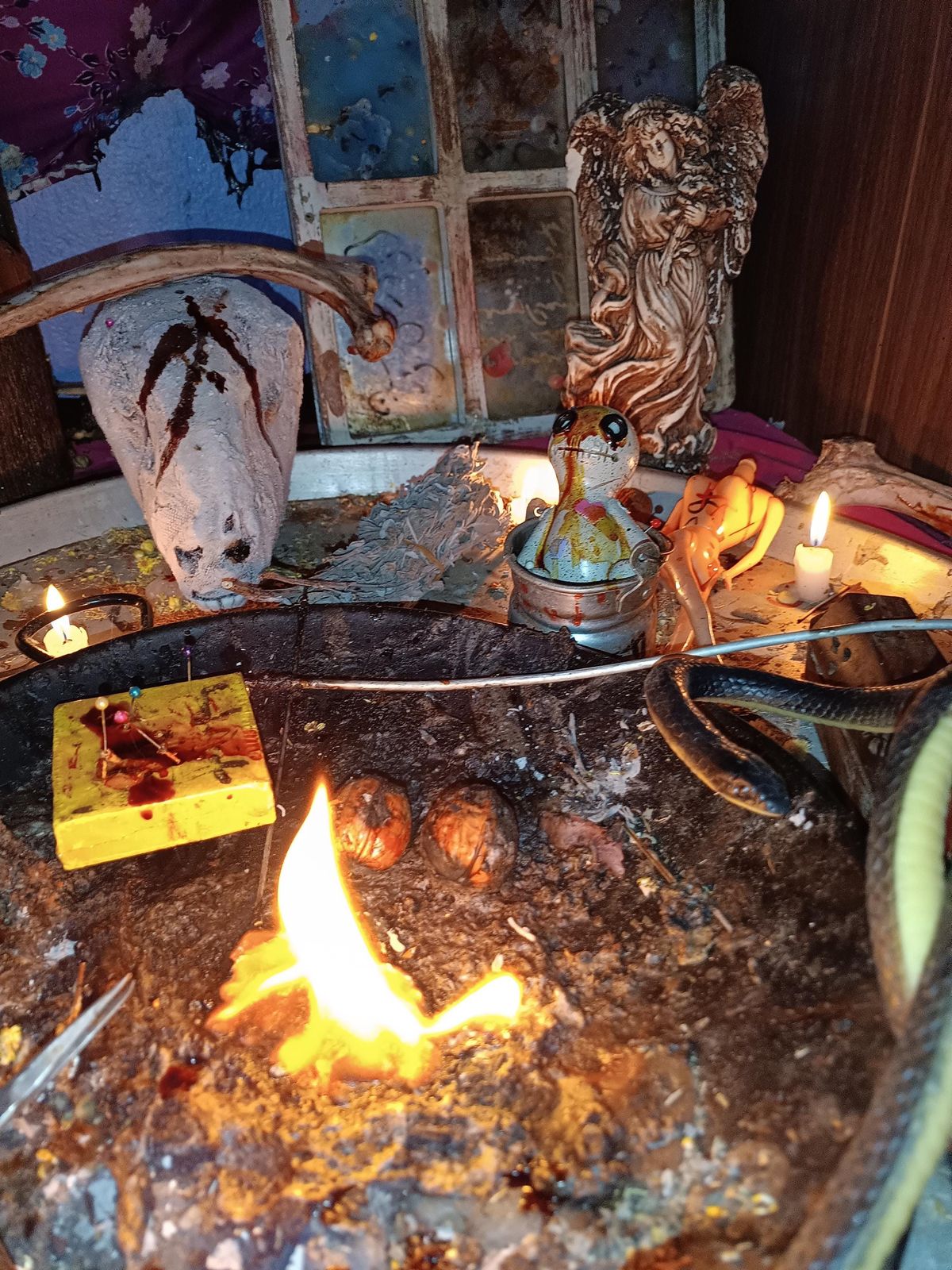 6e208f50a1d0266143893c4b79f1ca51